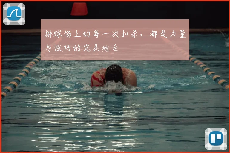 排球场上的每一次扣杀，都是力量与技巧的完美结合