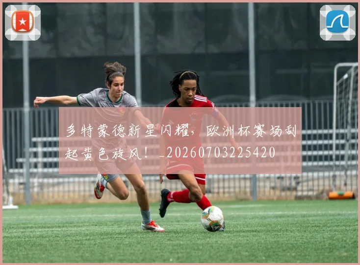 多特蒙德新星闪耀，欧洲杯赛场刮起黄色旋风！_20260703225420
