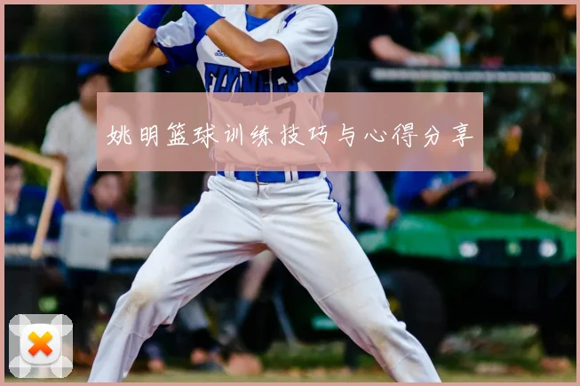 姚明篮球训练技巧与心得分享