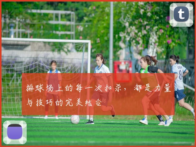 排球场上的每一次扣杀，都是力量与技巧的完美结合